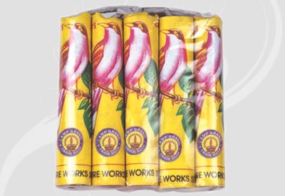 Proloy Fireworks